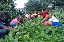 Archeworks Mid-Year Design Review at Access Living, Chicago, December 4, 2012