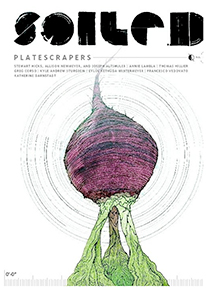 Soiled/Unearthed, at the Gallery at Living Room Realty,Chicago, June 9, 2012