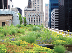 Sustainability: Planning Strategies & Implementation Examples, symposium at Chaddick Institute, DePaul University, Chicago, October 18, 2012