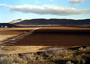 Victoria Sambunaris: Taxonomy of a Landscape, lecture at the Museum of Contemporary Photography, Chicago 