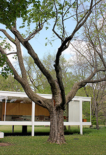 http://arcchicago.blogspot.com/2012/05/where-living-and-fabricated-intersect.html